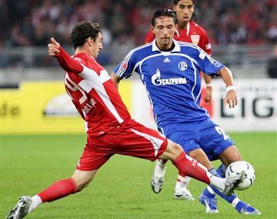 尽管华子已 尽管华子已